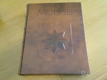 Libro storico sul Molise edito da zecca di stato