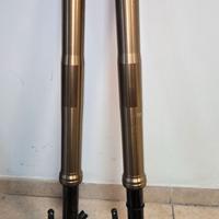 FORCELLE TRIUMPH 765 PRESSURIZZATE BITUBO