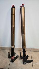 FORCELLE TRIUMPH 765 PRESSURIZZATE BITUBO