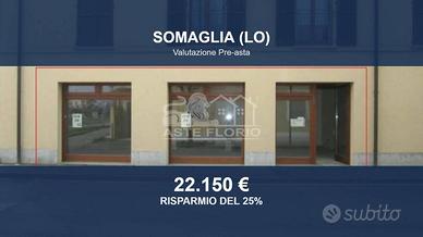 Immobile in asta di 110 m² a Somaglia