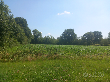 Terreno valperga