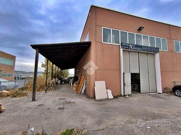 CAPANNONE A TAVULLIA