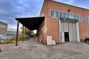 CAPANNONE A TAVULLIA