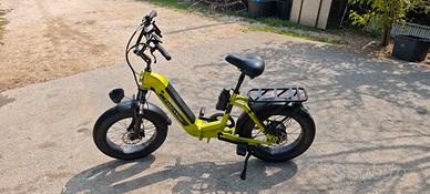 E-bike bicicletta focarini