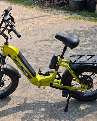 E-bike bicicletta focarini