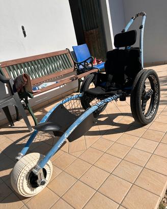 Carrozzina per disabili trekking spiaggia