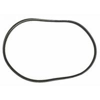 Cinghia Pinasco Piaggio Bravo senza variatore