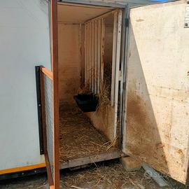 Box amovibile cavalli