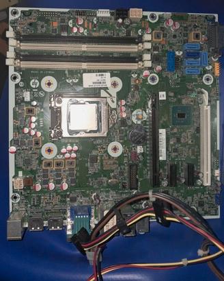 Scheda Madre HP ELITEDESK 800 G2 TWR