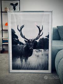 Quadro Maxse formato 70x100 stampa d’autore