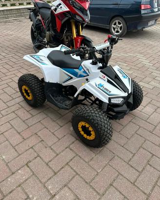 Quad per bambini dai 7/8 fino a 12 anni