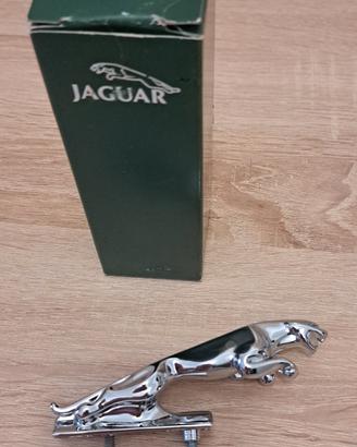 Fregio giaguaro cofano Jaguar  originale inglese