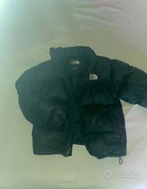 The North FACE Piumino 700