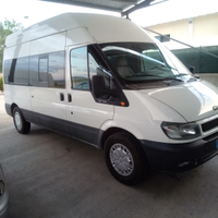Minibus trasporto disabili