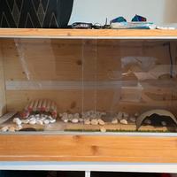 Terrario in legno  80x40x40