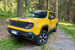 JEEP Renegade 2.0 Mjt 170CV 4WD Trailhawk