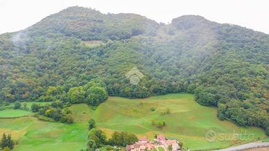 TER. AGRICOLO A BADIA CALAVENA