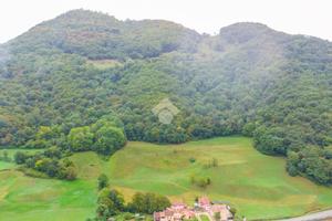 TER. AGRICOLO A BADIA CALAVENA