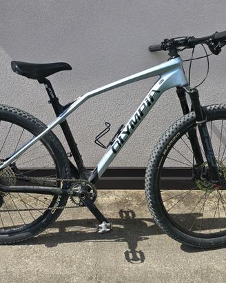 Mountain bike MTB Olympia Iron 29