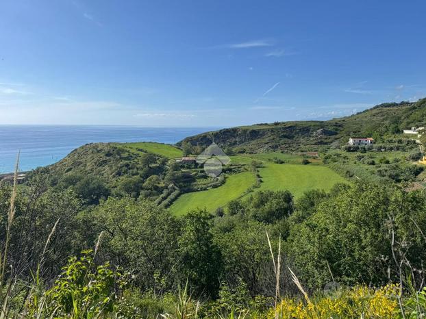 TER. AGRICOLO A SAN LUCIDO