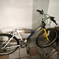 bicicletta