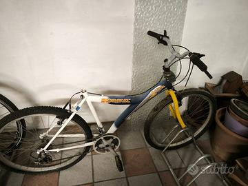bicicletta