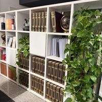 Enciclopedia Treccani e dizionario