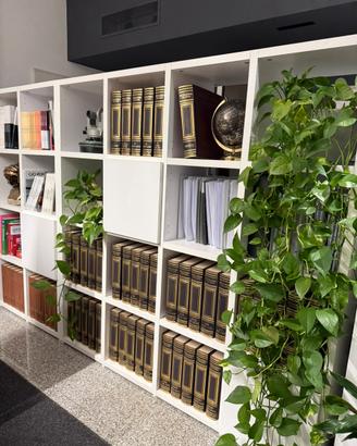 Enciclopedia Treccani e dizionario