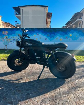 Bici elettrica