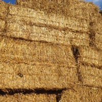 Foraggio, erba medica, fieno e paglia