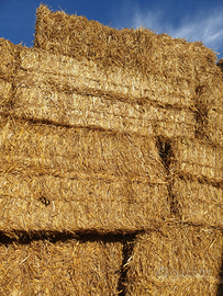 Foraggio, erba medica, fieno e paglia