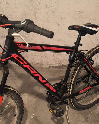 Mountain bike