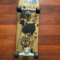 Skate board