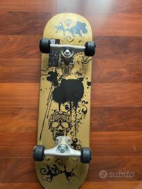 Skate board
