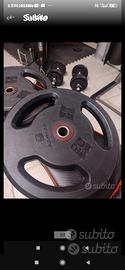 pesi dischi 20 kg