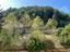 Immagine 18