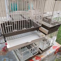 gabbie x soggetti singoli 