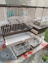 gabbie x soggetti singoli 