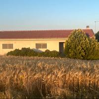 Terreni locale alberi trattore