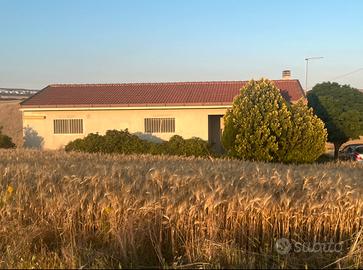 Terreni locale alberi trattore