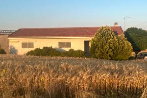 Terreni locale alberi trattore