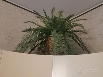 Grande felce finta vintage