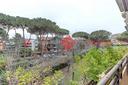 appartamento-roma-cod-rif-3289384vrg-torrino-