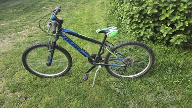Bici Olmo sentiero 24