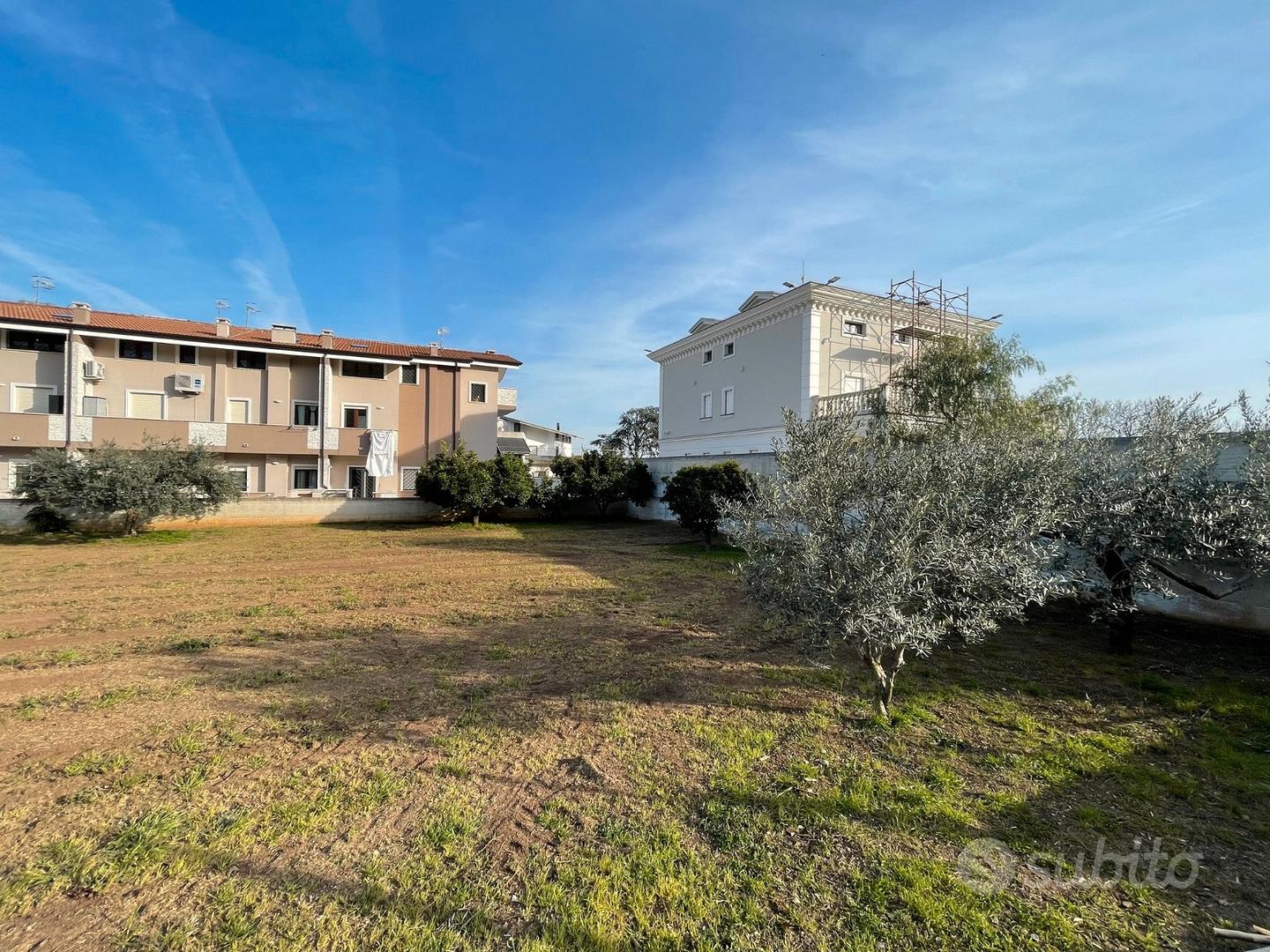 Terreno edificabile - Falciano del Massico (CE) - Vista 6