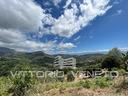 terreno-di-45268-m²-a-pollica