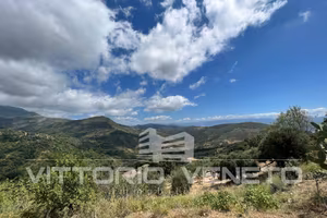 Terreno di 45268 m² a Pollica