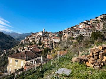 Rudere con terreno ad Apricale