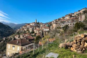 Rudere con terreno ad Apricale