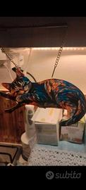 Decorazione artistica gatto su ramo multicolore
